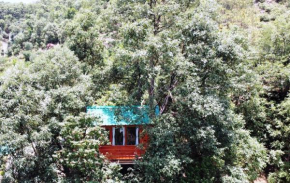 Vriksh Kutir Treehouse